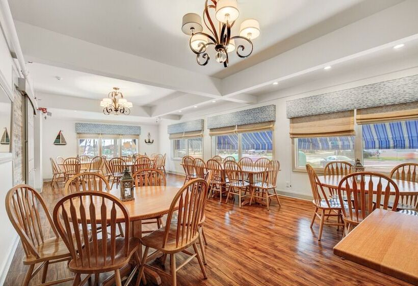 בית מלון כפרי Surf City