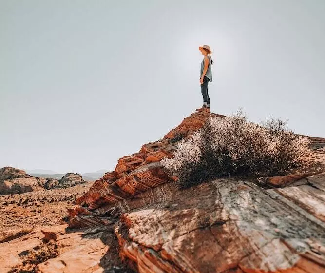 ホテル Wander Camp Bryce Canyon   Escalante