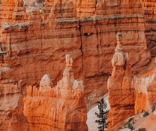 ホテル Wander Camp Bryce Canyon   Escalante