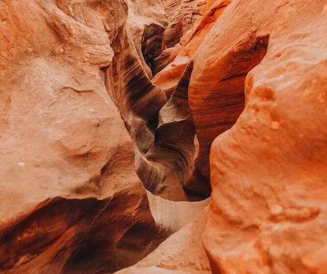 ホテル Wander Camp Bryce Canyon   Escalante