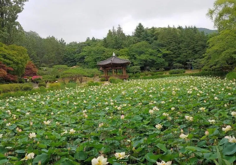 مُتل Gyeongju Bomun Zara