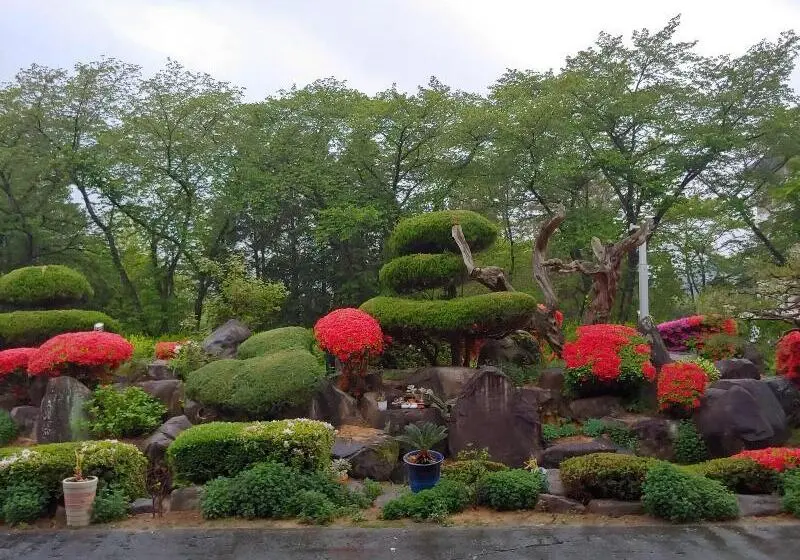 مُتل Gyeongju Bomun Zara