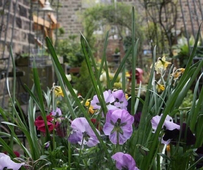 تختخواب و صبحانه Alexandra Court