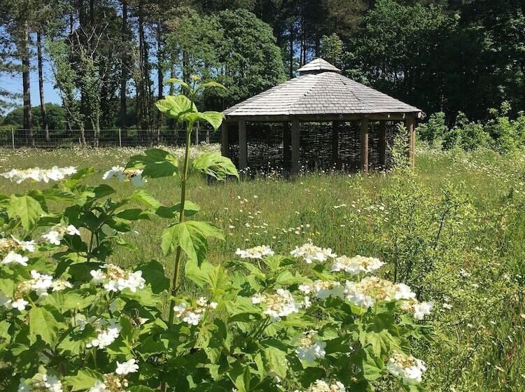 ホテル Hollicarrs   Forest Retreat