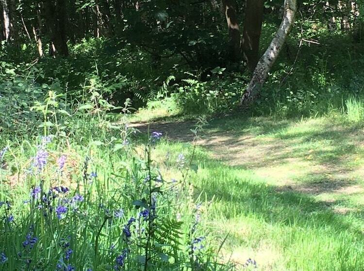 ホテル Hollicarrs   Forest Retreat