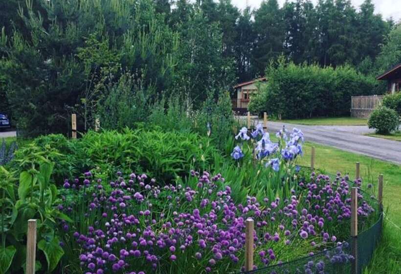 ホテル Hollicarrs   Forest Retreat