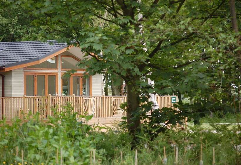 ホテル Hollicarrs   Forest Retreat