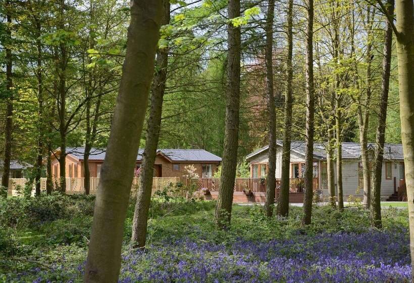 ホテル Hollicarrs   Forest Retreat