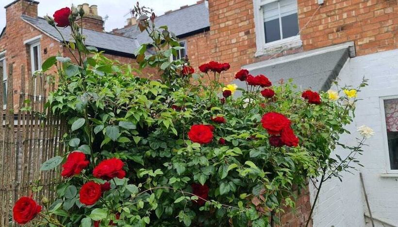 Lunas Cottage   Grove Road Cottages