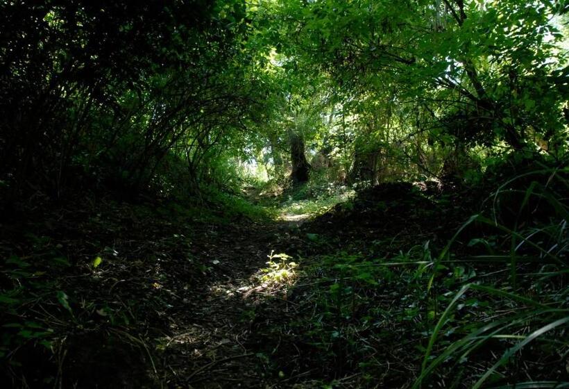 Пансион La Cascade De Hauterive