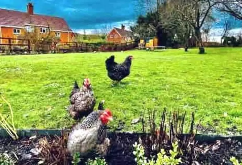 Perfect Cottage Hideaway In The Divine Pewsey Vale