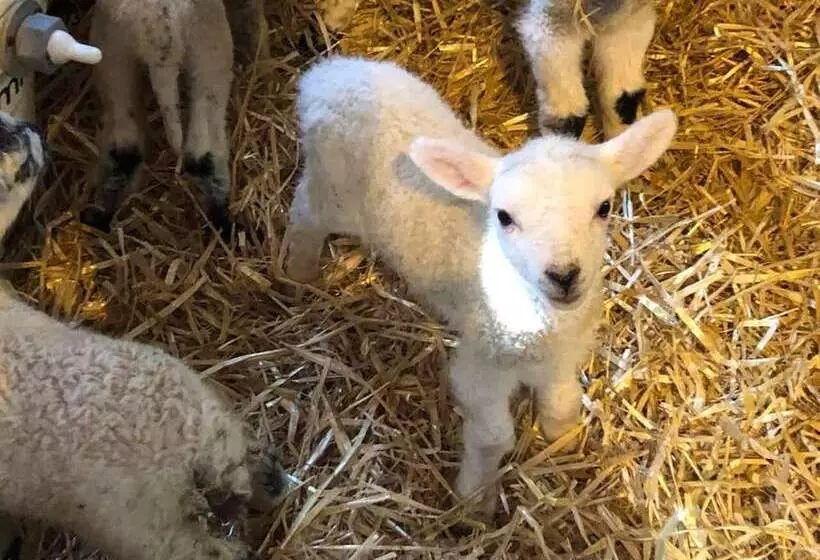 Perfect Cottage Hideaway In The Divine Pewsey Vale