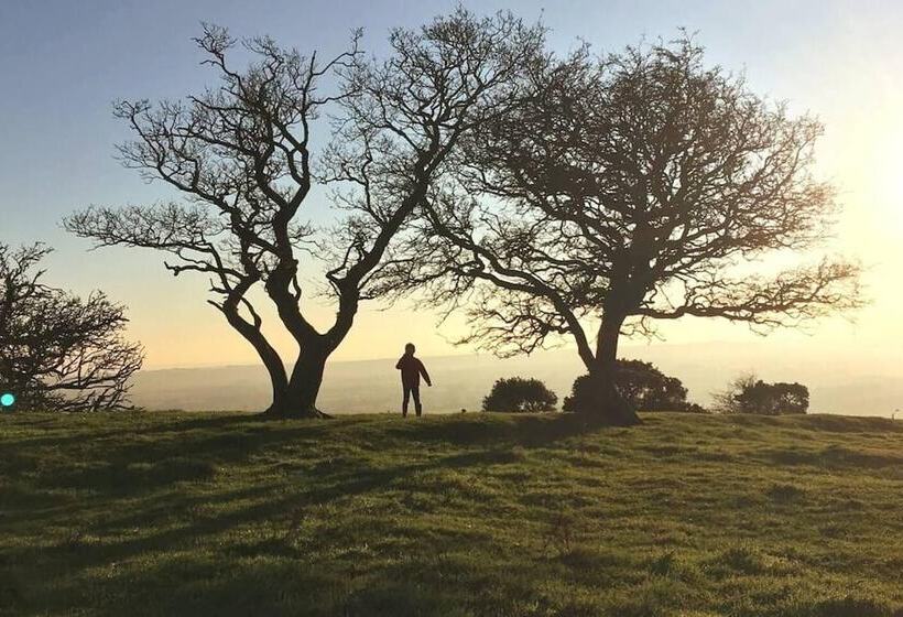 Perfect Cottage Hideaway In The Divine Pewsey Vale
