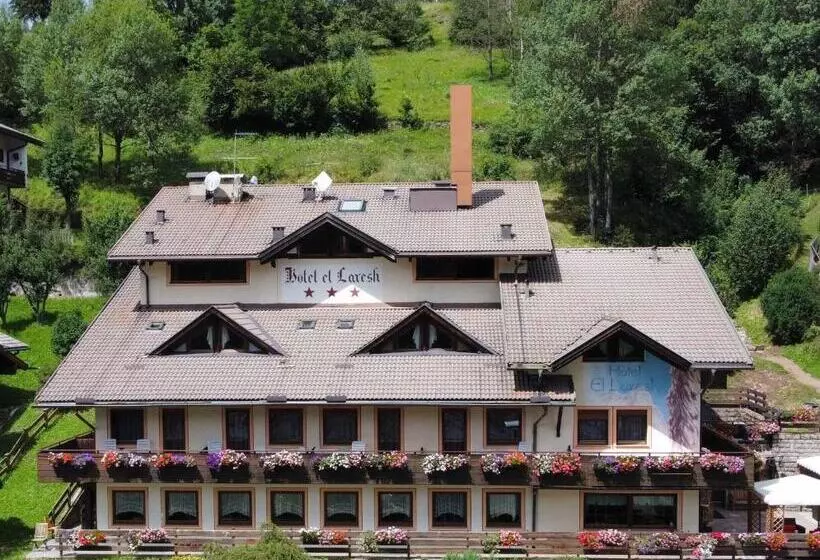 Отель El Laresh