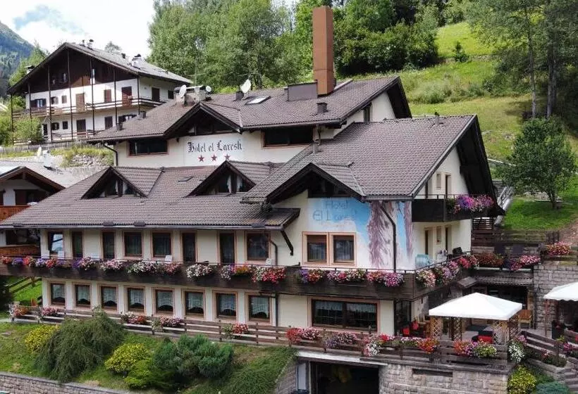 Отель El Laresh