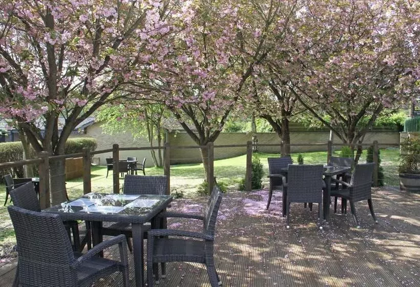 فندق Honest Lawyer