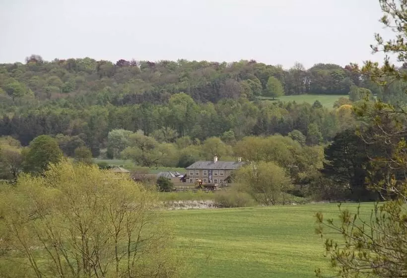 فندق Honest Lawyer