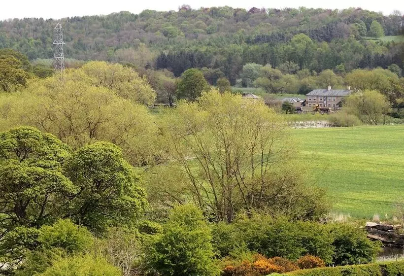 فندق Honest Lawyer