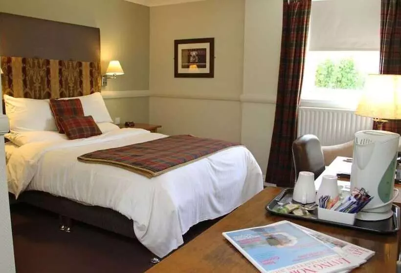 فندق Honest Lawyer