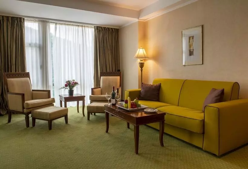 酒店 Hp Tower One Brasov