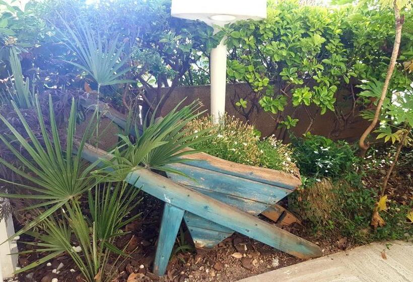 בית מלון כפרי Poker