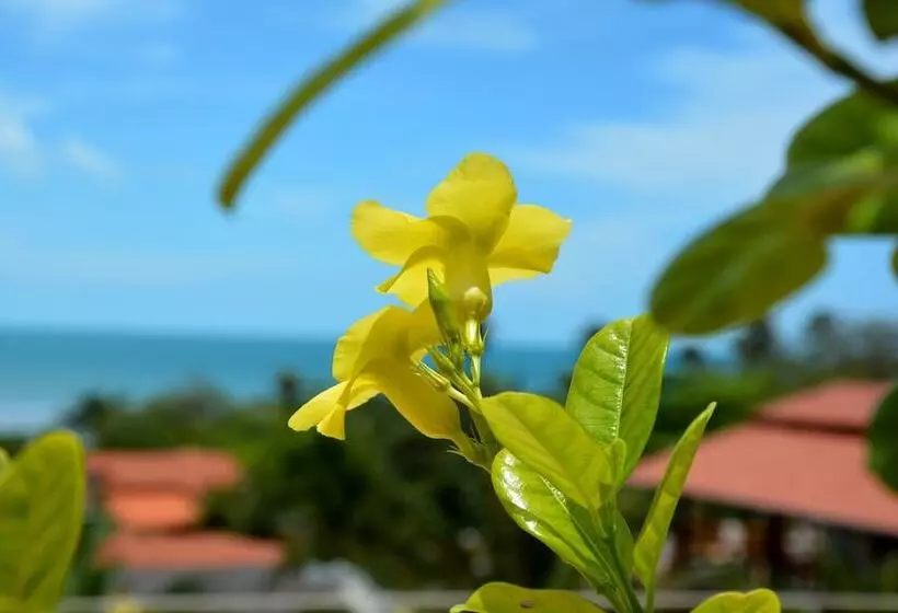 Hôtel Villa Terra Viva