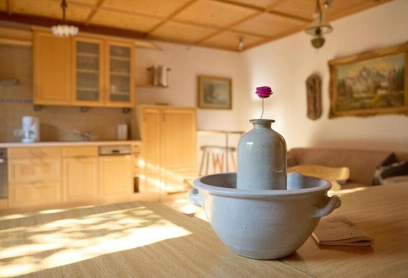 Alt Montafon Hotel Appartements By Pferd Auf Wolke