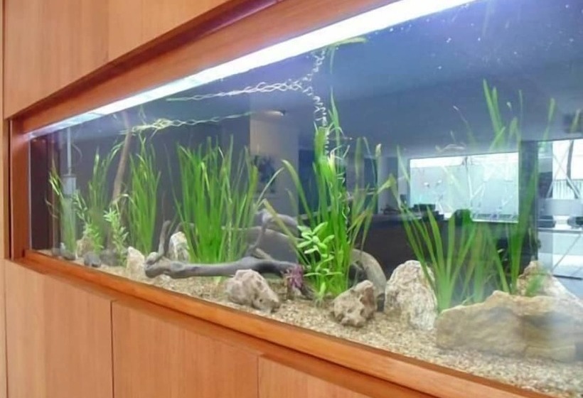 Catamarca Suites Land