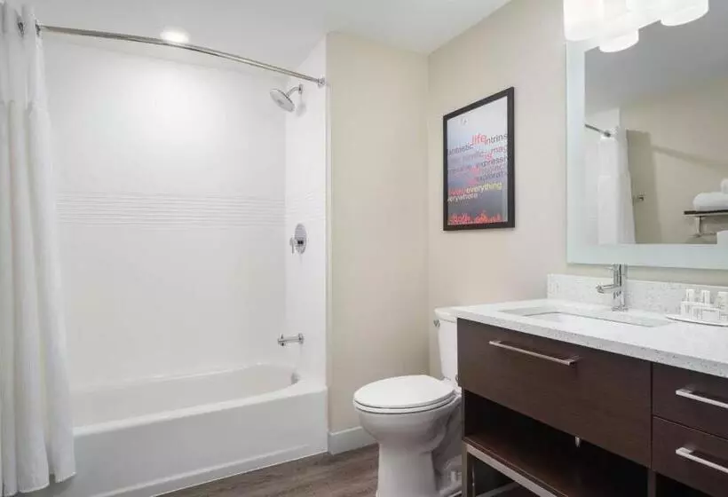 Hotelli Towneplace Suites By Marriott Leesburg