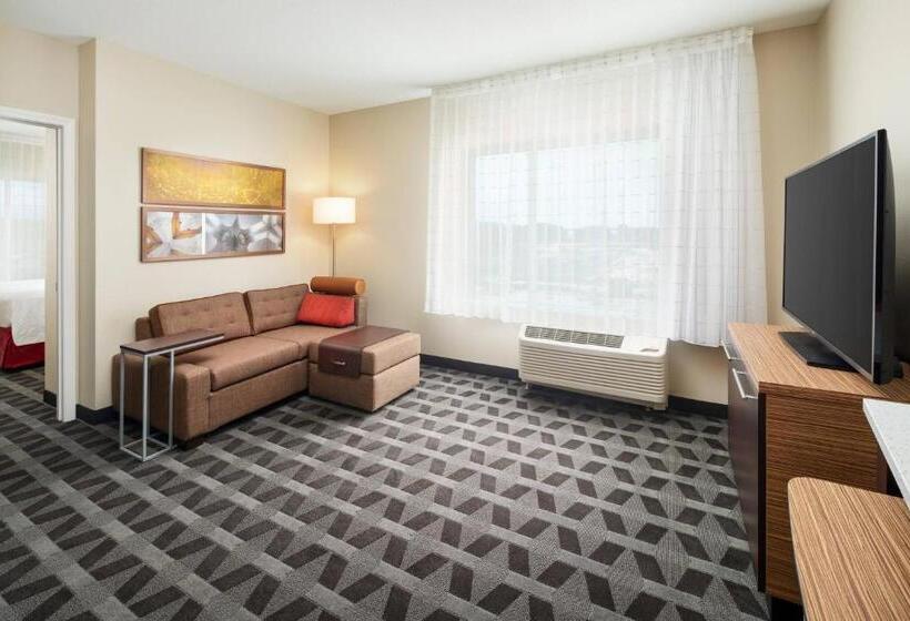 호텔 Towneplace Suites By Marriott Leesburg