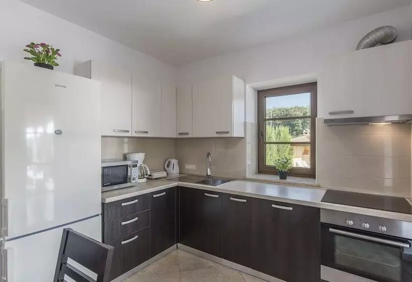 Modern Villa With Private Pool And Beautiful Garden 25 Km From Rovinj