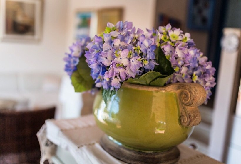 Villa With Perfect Sun Deck Overlooking The Pool In The Heart Of Istria