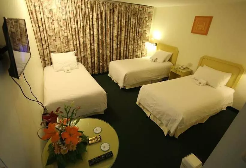 فندق فئة نجمة واحدة Plaza Mayor