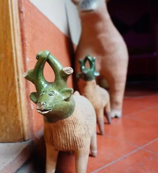 هتل Cazomalli Oaxaca