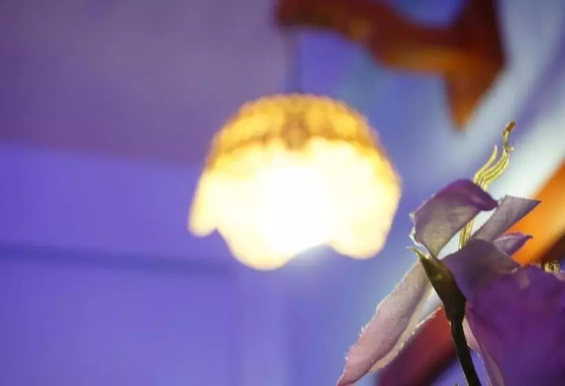 هتل Cazomalli Oaxaca