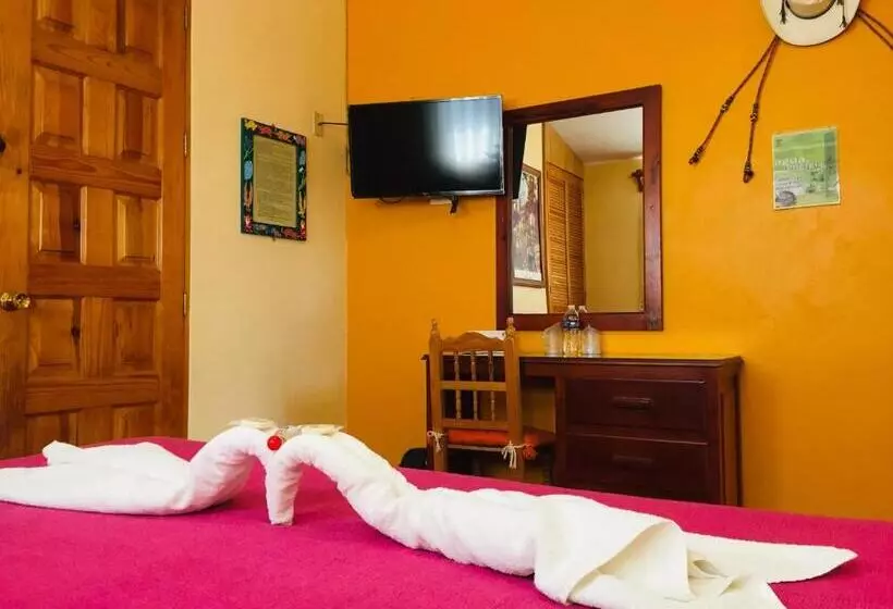 هتل Cazomalli Oaxaca