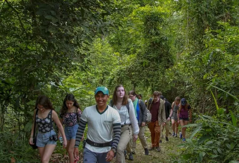 هتل Heliconia Amazon River Lodge