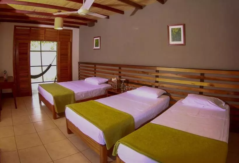 هتل Heliconia Amazon River Lodge