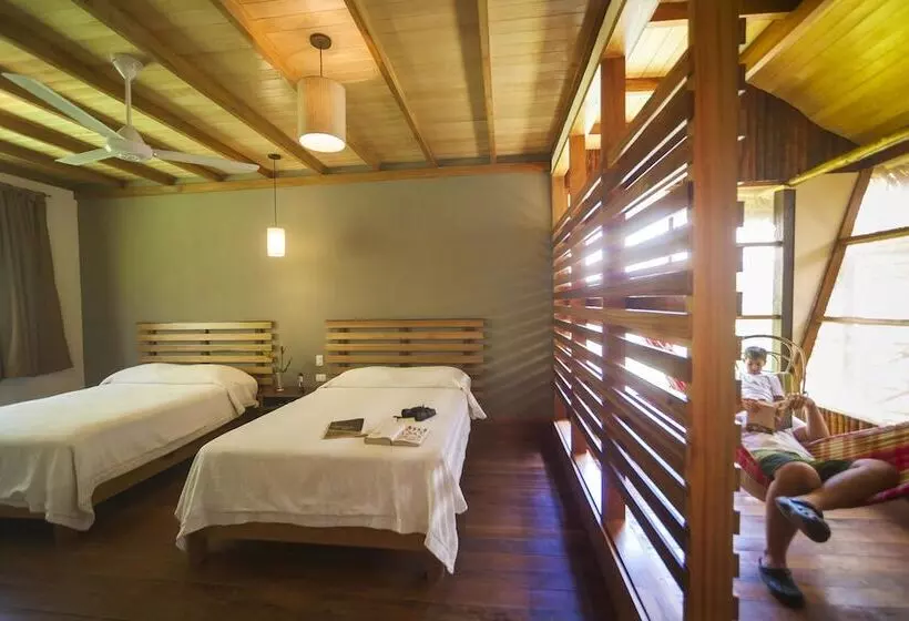 هتل Heliconia Amazon River Lodge