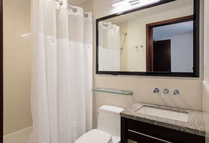 酒店 Marriott Vacation Club®, New York City