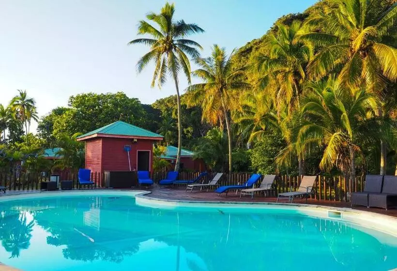 هتل Oasis De Kiamu