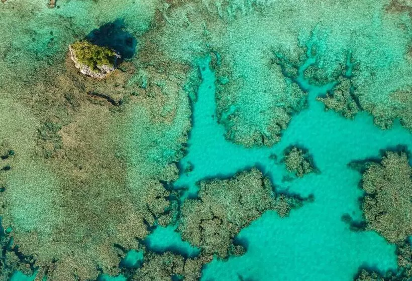 هتل Oasis De Kiamu