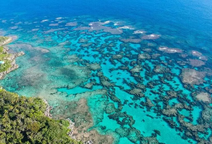 هتل Oasis De Kiamu