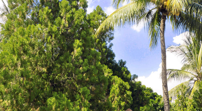 فندق Puri Bunga Beach Cottages