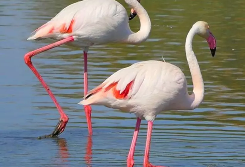 هتل Restaurant Coco Lodge Majunga