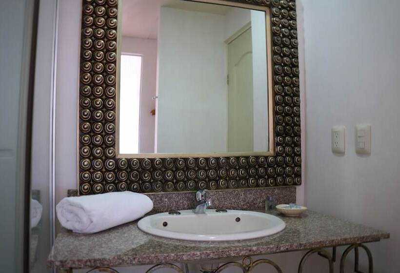 هتل Zar San Luis Potosi