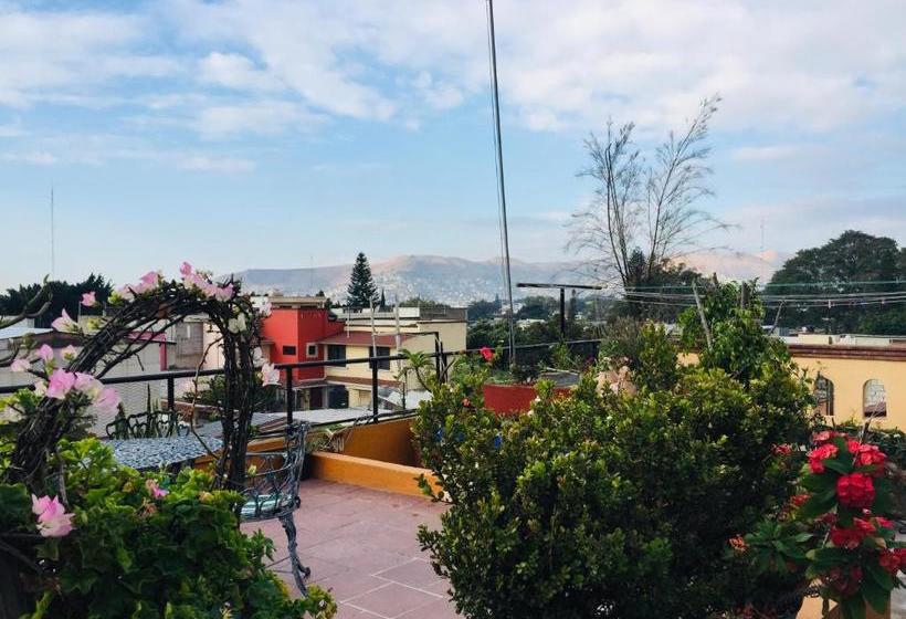 فندق Cazomalli Oaxaca