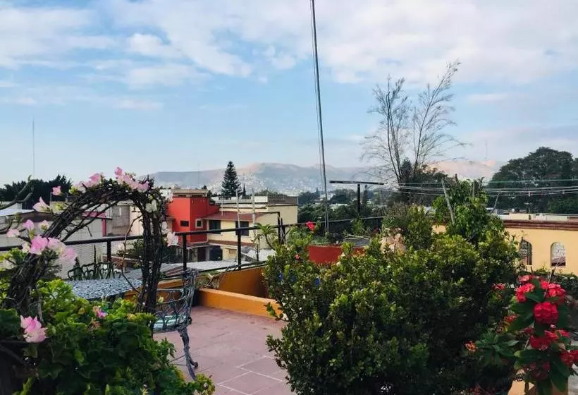 هتل Cazomalli Oaxaca