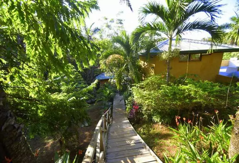 Hotelli Villas Punta India