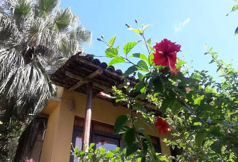 Hotelli Villas Punta India